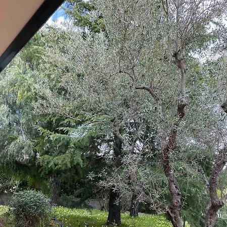 Etna Escape Casa vacanze *