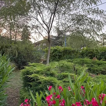 Etna Escape Casa vacanze Pedara